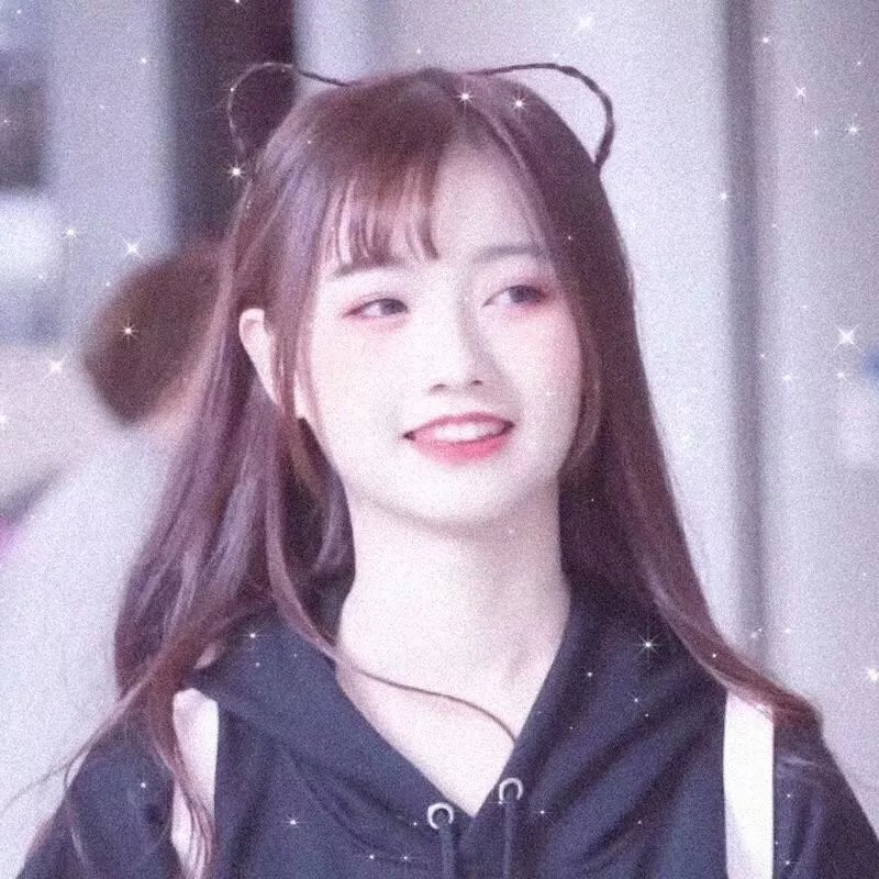 群鸟东径