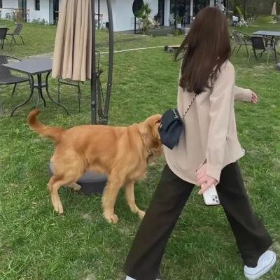 丧钟：骑士与龙